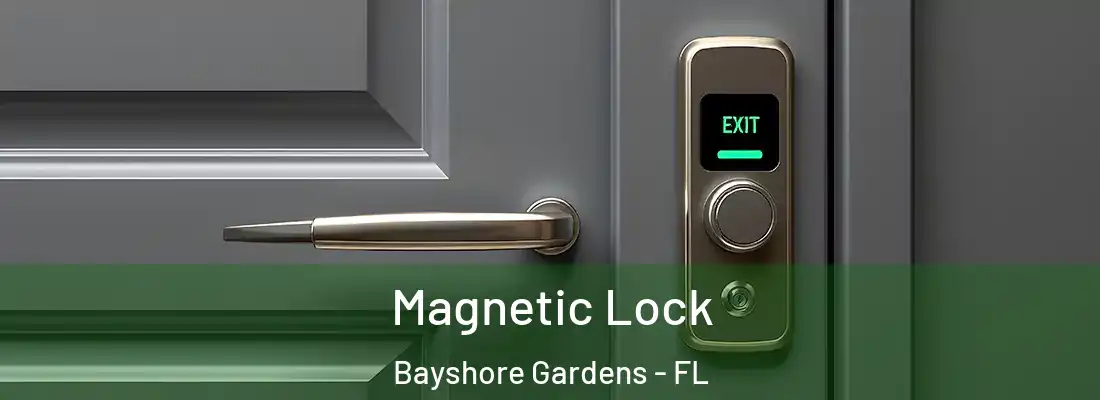 Magnetic Lock Bayshore Gardens - FL