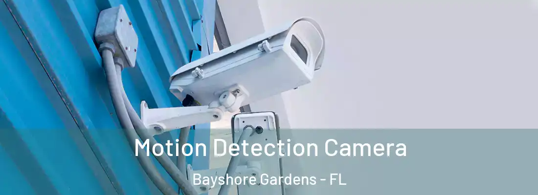 Motion Detection Camera Bayshore Gardens - FL